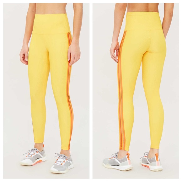 activewear leggins
